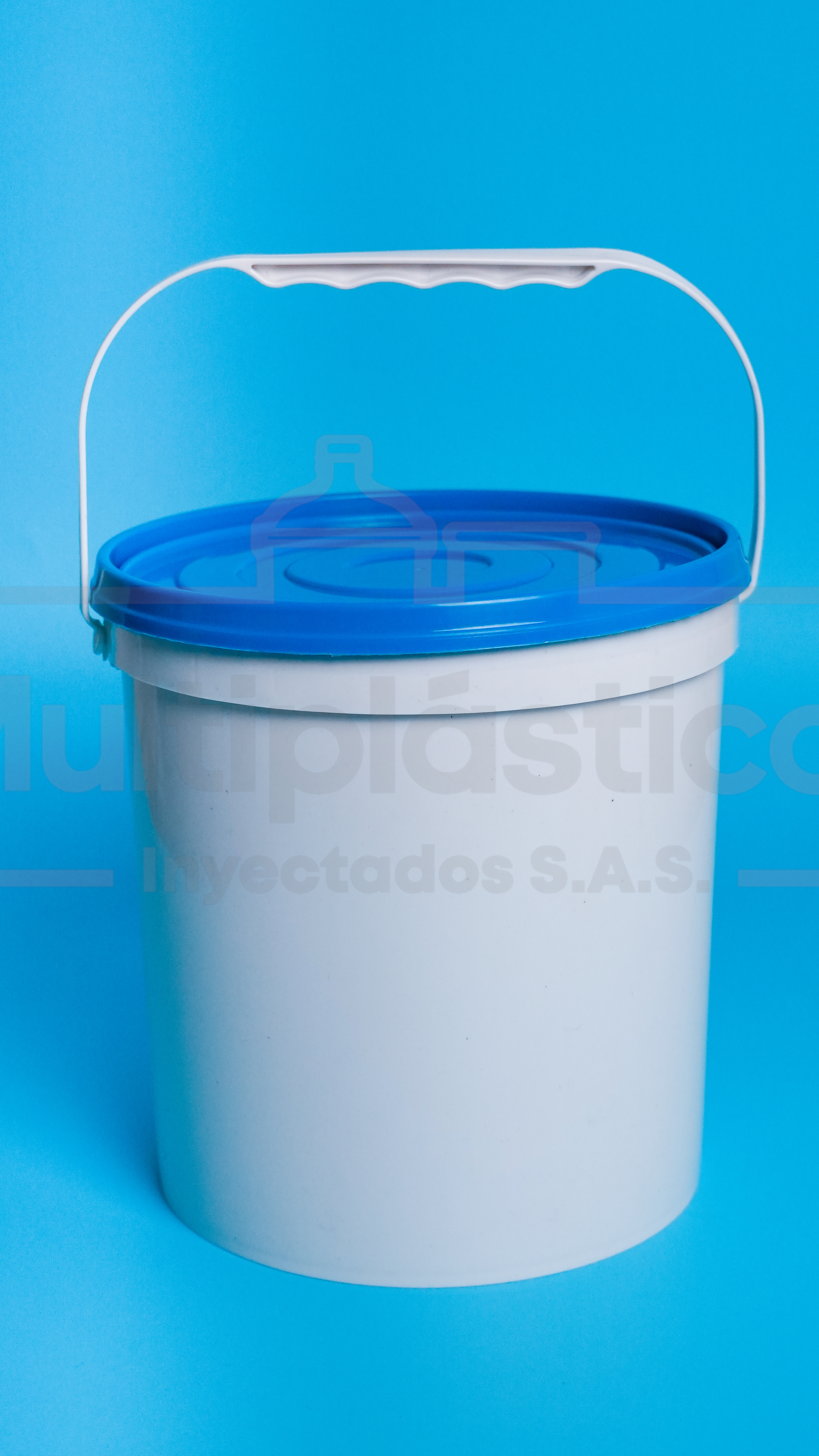 Vista frontal